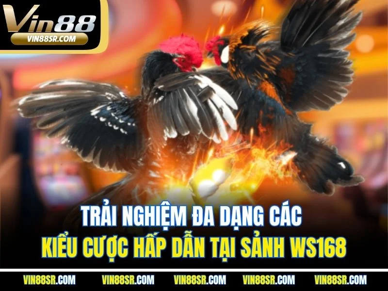 Trải nghiệm đa dạng các kiểu cược hấp dẫn tại sảnh WS168